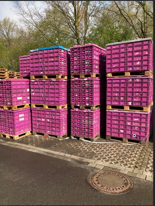 L-KLT 6147Kunststoffbehälter, 600x400x147 mm, violett Variante BMW, gebraucht, kaufen/mieten