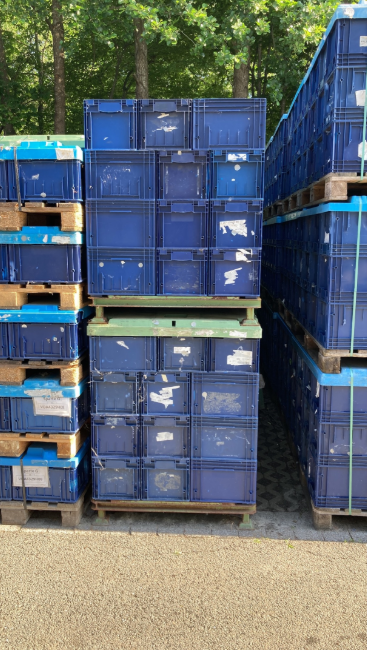 R-KLT 4329KLT-Behälter, 400x300x280 mm, blau, gebraucht, kaufen/mieten